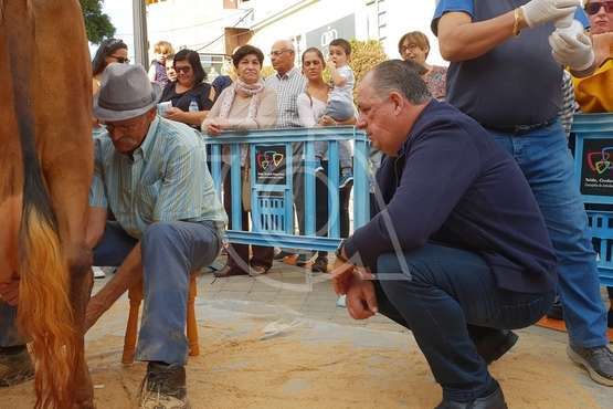 Día grande de las fiestas de Los Llanos 2018 (Foto Antonio Alí/Francisco Javier Santana, Jesús Ruiz y TA)